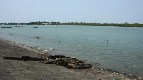 Mangrove river at high tide Vídeos de archivo 333083404