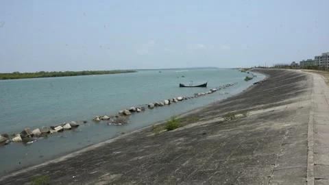 Mangrove river at high tide Vídeos de archivo 333083429