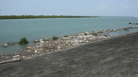 Mangrove river at high tide Vídeos de archivo 333083430