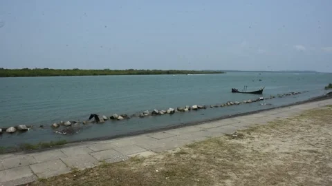 Mangrove river at high tide Vídeos de archivo 333083432