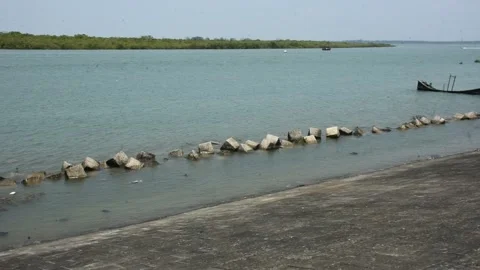 Mangrove river at high tide Vídeos de archivo 333083457
