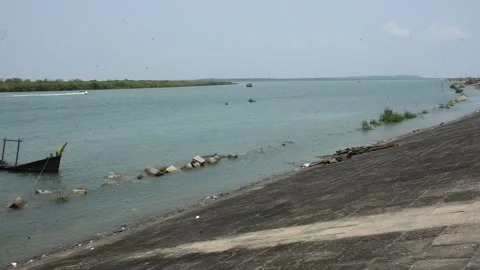 Mangrove river at high tide 스톡 동영상 333083461