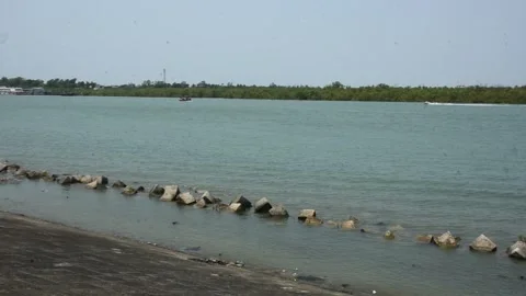 Mangrove river at high tide 스톡 동영상 333083462