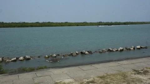 Mangrove river at high tide Vídeo Stock 333083463