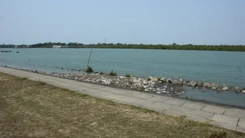 Mangrove river at high tide Vídeo Stock 333083469