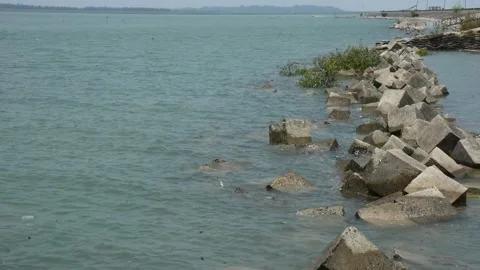 Mangrove river at high tide Vídeo Stock 333083768