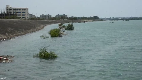 Mangrove river at high tide Vídeo Stock 333083772