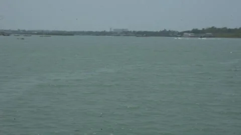 Mangrove river at high tide Vídeo Stock 333083844