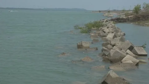 Mangrove river at high tide Vídeo Stock 333083887