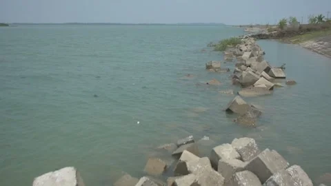 Mangrove river at high tide Vídeo Stock 333083908