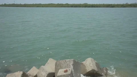 Mangrove river at high tide Vídeo Stock 333083950