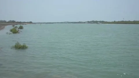 Mangrove river at high tide Vídeo Stock 333083955
