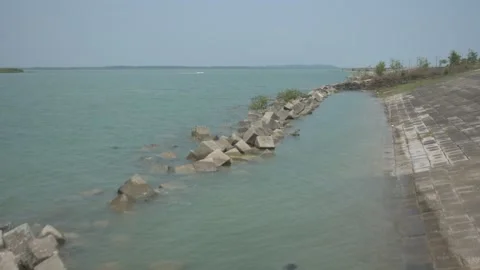 Mangrove river at high tide Vídeo Stock 333083988