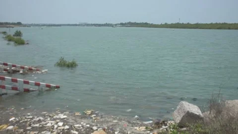 Mangrove river at high tide Vídeo Stock 333083990