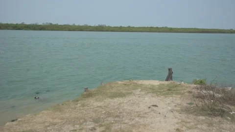 Mangrove river at high tide Vídeo Stock 333083996