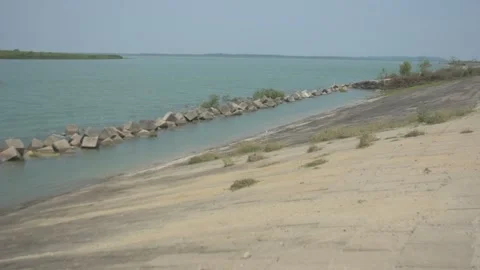 Mangrove river at high tide Vídeo Stock 333084067