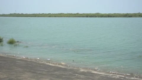 Mangrove river at high tide Vídeo Stock 333084082
