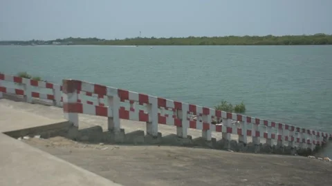 Mangrove river at high tide Vídeo Stock 333084100