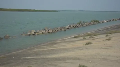 Mangrove river at high tide Stock Footage 333084104
