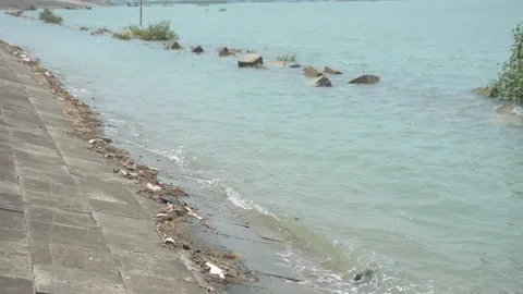 Mangrove river at high tide Vídeo Stock 333084289