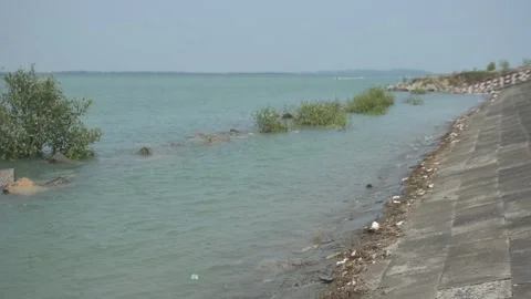Mangrove river at high tide Stockbeeldmateriaal 333084327