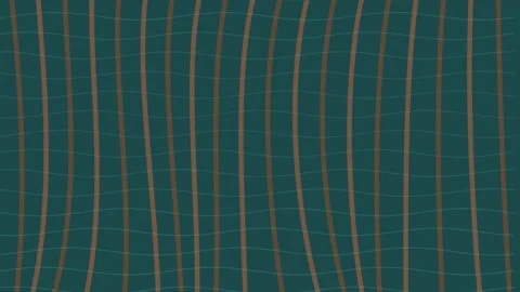 Mangrove Root Tidal Ripple Seamless Nature Loop Stock Footage 343914438