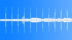 Mangrove sunny afternoon HD 24Bits/96KHzSound Effect
