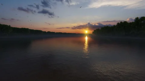 Mangrove tree along a river, beatiful sunset at the horizon, 4K Video stock 139611404