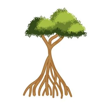 Mangrove tree big plant Stock Illustration