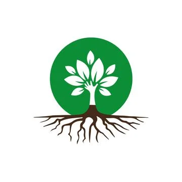 Mangrove tree icon logo design vector Stock Illustration