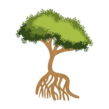 Mangrove tree nature with roots Stock Illustration