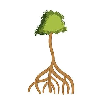 Mangrove tree plant Stock Illustration