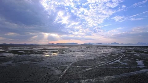 Mangrove trees at low tide with tidal flat, sun rays and rocky coast Stock Footage 333234844