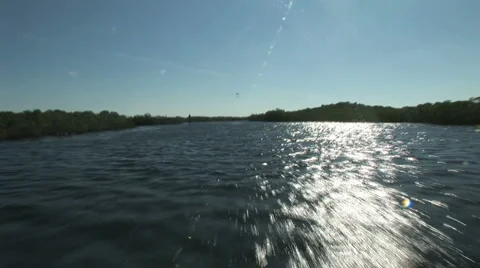 Mangroves 4 Stock Footage 925343