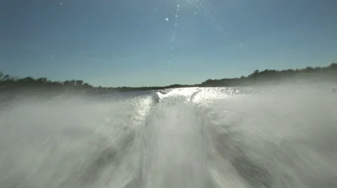 Mangroves Stock Footage 925242