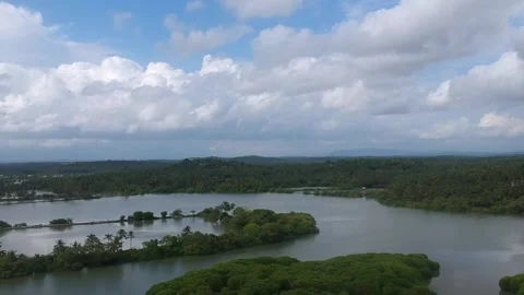 Mangroves of Kerala Stock Footage 157702813