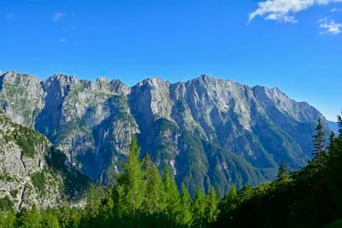 Mangrt Road Stock Photos