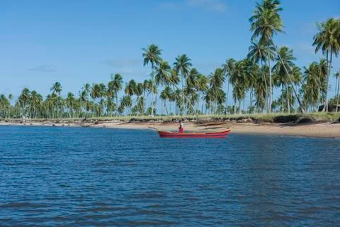 Mangue Seco Stock Photos