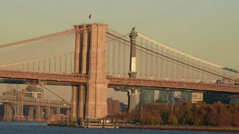 Manhattan Bridge 스톡 동영상 228328947
