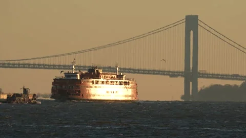 Manhattan Bridge 스톡 동영상 228329154