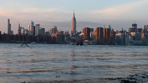 The Manhattan skyline during twilight from Brooklyn 스톡 동영상 100417072