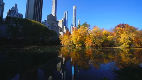 Manhattan skyscraper reflect to the pond in Central park NYC. 動画素材 152740586