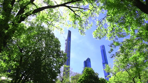 Manhattan skyscraper stand behind fresh green trees in Central Park NYC. Stockbeeldmateriaal 153979602