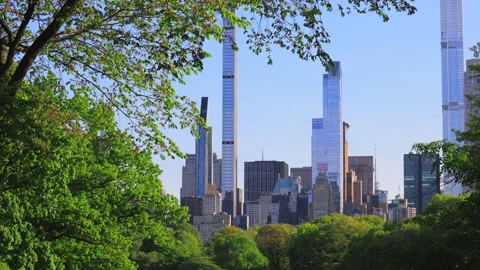 Manhattan skyscraper stand behind growing fresh green trees in Central Park Video stock 264787878