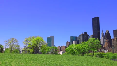 Manhattan skyscraper stands beyond the fresh trees in Roosevelt Island NYC. Stock Footage 154881463