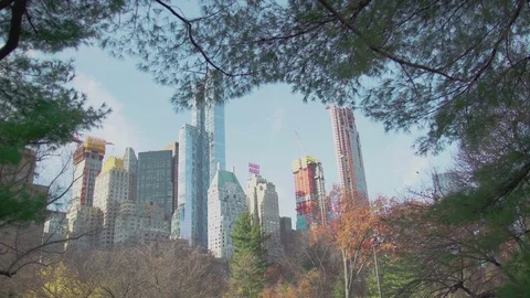  Manhattan view from Central Park through the trees New York Stock Footage 84053617