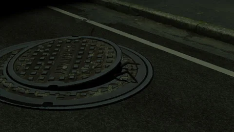 Manhole Spider Stock Footage 250937347