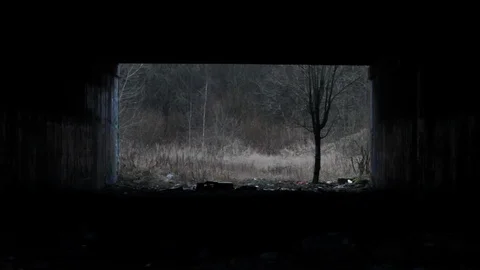 Maniac with an Axe in Abandoned Underpass Stock Footage 123804791