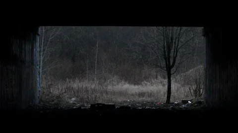 Maniac with an Axe with an Underpass 1 Video stock 123848823