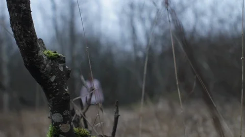 Maniac with Blood Stained Axe Looking for Victim in the Forest Stock Footage 123780812